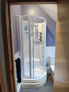 um chuveiro na casa de banho com WC em West End & EICC with Parking em Edinburgo