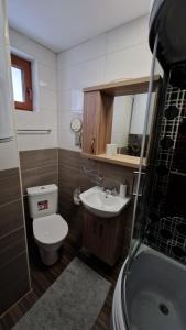 een badkamer met een toilet, een wastafel en een douche bij Ski House in Kopaonik +9 foto's