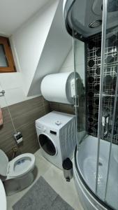 een badkamer met toilet en glazen douche bij Ski House in Kopaonik