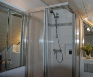 a shower in a bathroom with a glass door at Gästezimmer Anita in Schwabach +13 photos