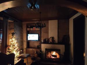 a living room with a fireplace and a christmas tree at Casa d`Avó Ná in Termas de Sao Pedro do Sul