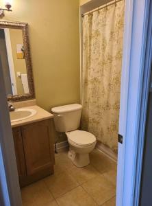 a bathroom with a toilet and a sink and a shower curtain at Top Floor of House in S Vaughan All to Yourself in Vaughan