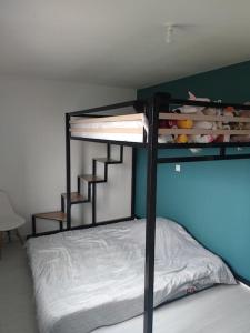 a bedroom with a bunk bed with a ladder at magnifique villa avec piscine et spa in Merville