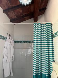a bathroom with a shower with a blue and white shower curtain at La luna e i falò in Arezzo