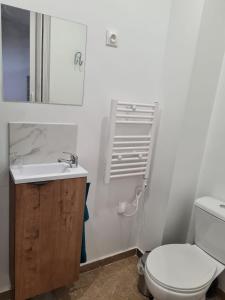 Kúpeľňa v ubytovaní Studio indépendant et bien équipé avec véranda commune