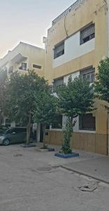 twee bomen op een parkeerplaats voor een gebouw bij Dar maria in Fès