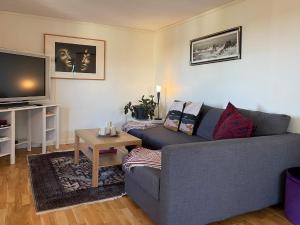sala de estar con sofá gris y TV en Holiday home HÅLTA en Kode
