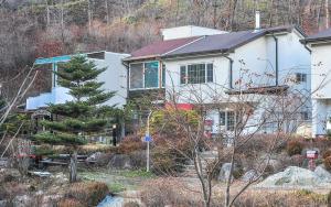 a white house with a pine tree in front of it at Rest Pension in Pyeongchang