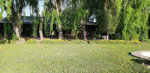 een park met een bank en bomen en gras bij El Carmen de Los Guindos, Las Choicas, Curicó in Curicó