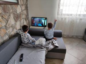 twee jonge jongens zitten op een bank tv te kijken bij Alsoveto Apartment in Kosd