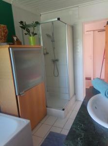 a bathroom with a shower and a sink at Bauernhaus im Permakultur-Garten in Sankt Johann in Tirol