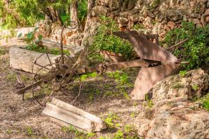 A garden outside Finca can Miquel des Revellar
