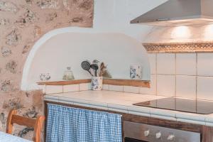 A kitchen or kitchenette at Finca can Miquel des Revellar