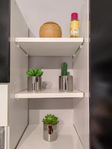 two potted plants sitting on shelves in a kitchen at Seagull center kavala in Kavála