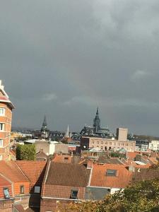 uma vista para uma cidade com edifícios e telhados em Abri du Passant em Roubaix