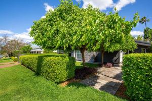 Mulberry House - Pet Friendly with Swimming Pool外面的花园