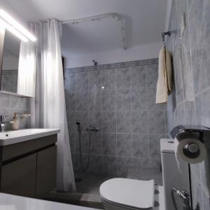 y baño con ducha, aseo y lavamanos. en VILLA KATERINA, en Tríkala