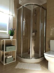 a bathroom with a shower and a toilet at Bajo con jardín privado in Santander