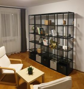 a living room with a black book shelf at Zinne Centru Civic in Braşov