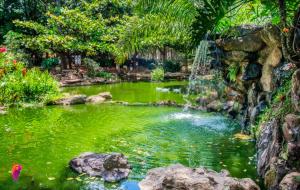 un estanque con una cascada en un jardín en diRoma Fiori 160 Conforto e muita diversão, en Caldas Novas