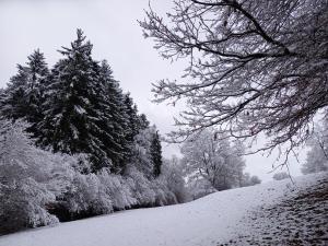 Le Clos du Cerf - Le Sous-bois v zimě