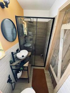 a bathroom with a shower with a sink and a mirror at La Luna di Ropienka in Ropienka