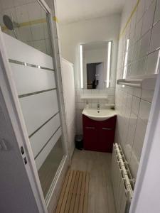 Baño pequeño con lavabo y espejo en Les deux Alpes : charmant studio, quartier Vénosc en Les Deux Alpes