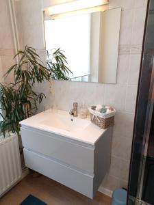 a bathroom with a sink and a mirror at De Galerie - green leaves in Ieper