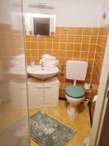 ein Badezimmer mit einem WC, einem Waschbecken und einem Spiegel in der Unterkunft Ferienwohnung KAMINO in Schleswig