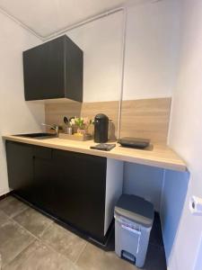 una pequeña cocina con encimera y fregadero en Le Charmant Studio Troyen, en Troyes