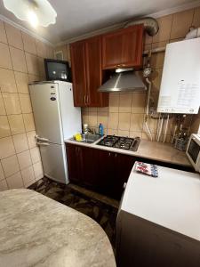uma pequena cozinha com um frigorífico e um lavatório em Апартаменты рядом с парком центр em Vinnytsya