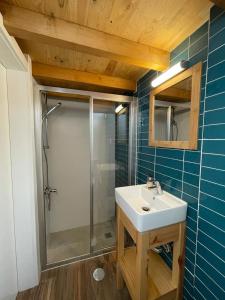 uma casa de banho com um chuveiro e um lavatório branco em acalma - sesmo em Sarzedas