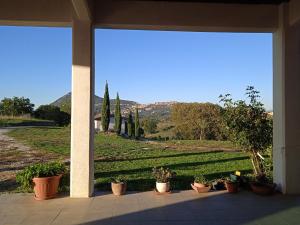 eine Veranda mit Topfpflanzen und Blick auf ein Feld in der Unterkunft Agriturismo Il cielo in terra in SantʼOreste
