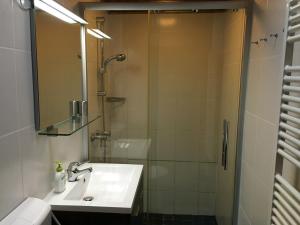 a bathroom with a sink and a shower at Blokhuis Heringhausen-Diemelsee in Diemelsee +15 photos