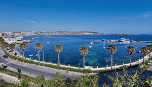 vista su un porto con palme e barche di Qawra Deluxe a San Pawl il-Baħar