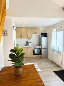 a kitchen with a refrigerator and a table with a plant at Charmante Maisonnette au calme / Jardin privatif in Clermont