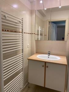 uma casa de banho com um lavatório e um espelho em Residentie Hippocampe em Wenduine