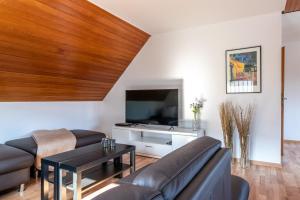 施马伦贝格Bödefeld的客厅里有一张沙发和一台电视