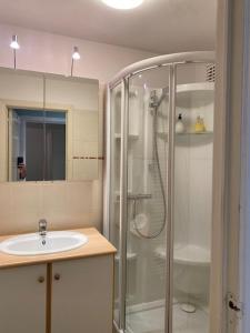 uma casa de banho com um chuveiro, um lavatório e um chuveiro em Residentie Hippocampe em Wenduine