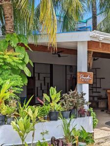 a sign in front of a resort with plants at Dhoadhi Retreat in Thulusdhoo