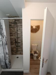 La salle de bains est pourvue d'une douche et de toilettes. dans l'établissement Le Nid Bourguignon, à Chalon-sur-Saône