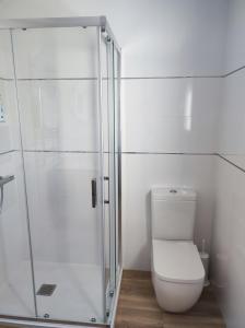 サラゴサにあるEmpresas parking gratisのトイレとガラスのシャワー付きのバスルーム