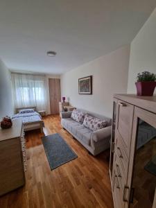 sala de estar con sofá y mesa en Riverside Apartment en Podgorica