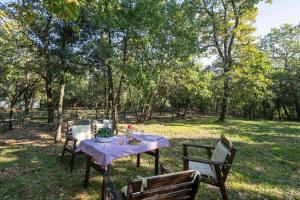 A garden outside Villino il Campone by VacaVilla