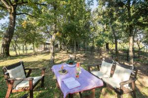 A garden outside Villino il Campone by VacaVilla