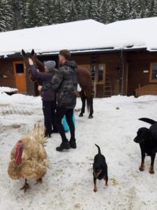 Statek U Rajmunda zemědělská farma v zimě