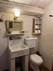 un bagno con un water bianco e un lavandino di Domaine de la Coletta. Bergerie. Plage privative a Coti-Chiavari