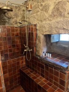 ein Badezimmer mit einer Dusche und einer braun gefliesten Wand in der Unterkunft Domaine de la coletta Maison traditionnelle in Coti-Chiavari