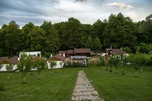 un jardín con un camino de piedra frente a una casa en La Casuțe Cheile Dopca, 