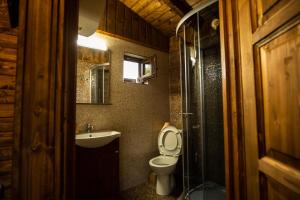 ein Bad mit einem WC, einem Waschbecken und einer Dusche in der Unterkunft La Casuțe Cheile Dopca 